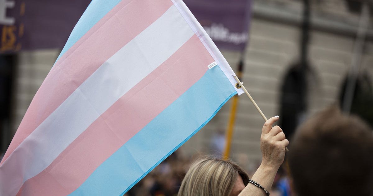 Person holding trans equality flag - WE named best places to work for LGBTQ equality - og image