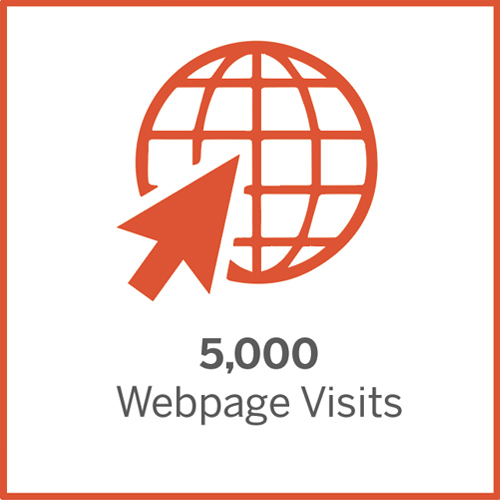 5,000 webpage visits